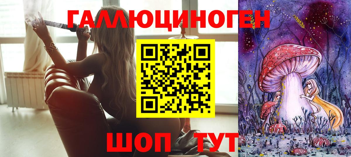 Галлюциногенные грибы Psilocybine cubensis Майский